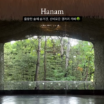 하남 숲속 카페 미사장